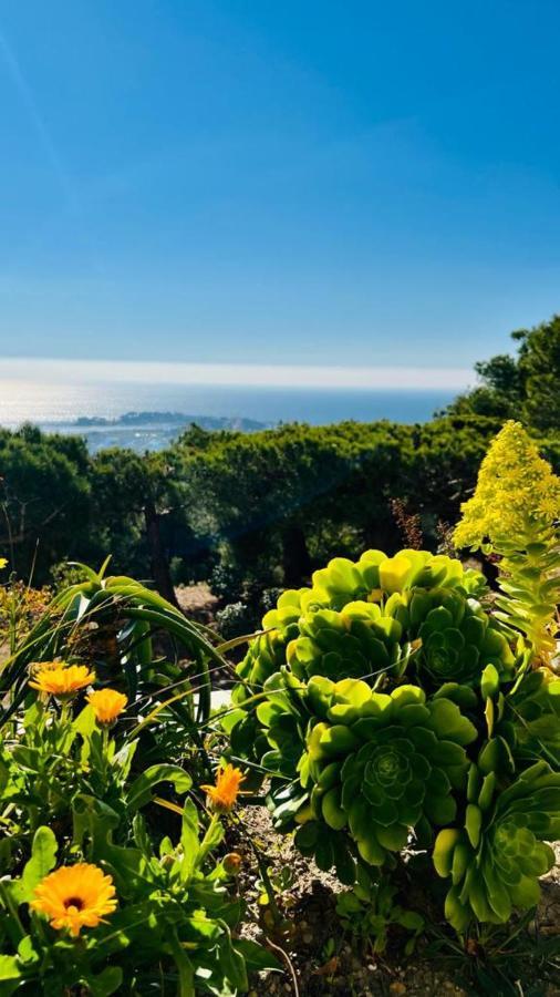 Vue Mer Panoramique Et Piscine Bandol Eksteriør billede